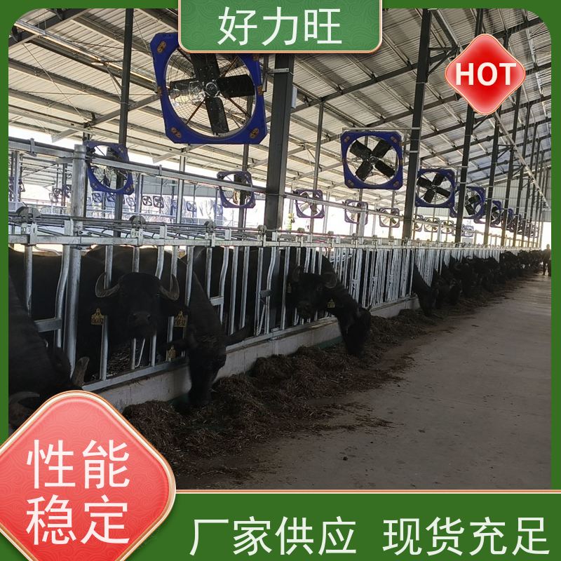 畜牧用牛颈枷 好力旺 加厚材质支持定制 自动锁死设计