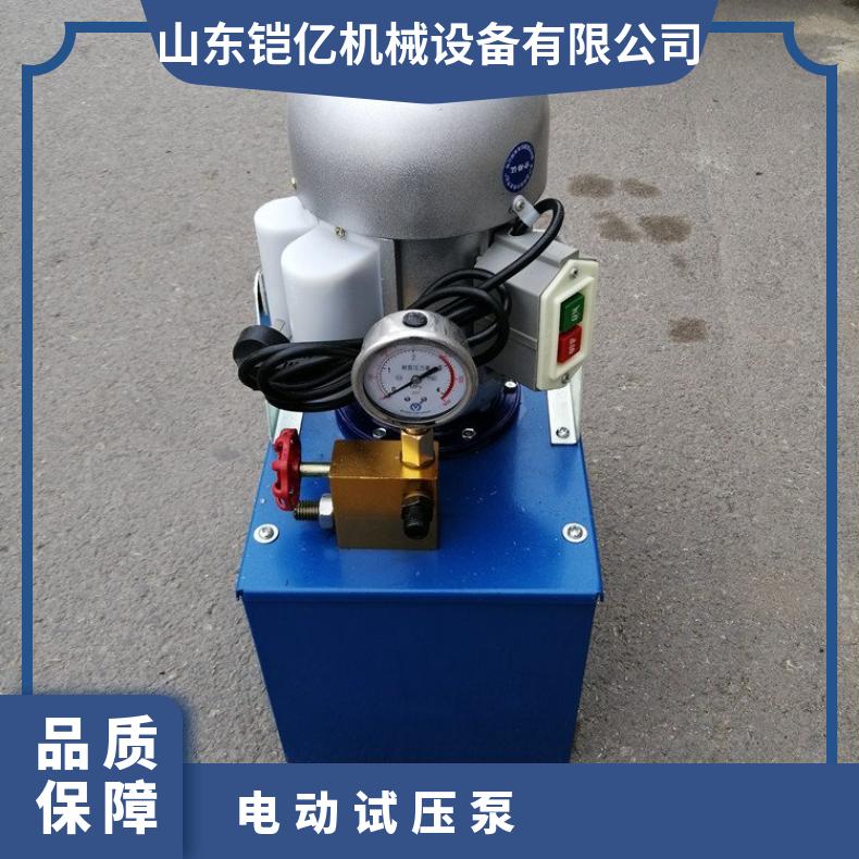 DSY-60手提式电动试压泵 单吸式全铜头测试泵