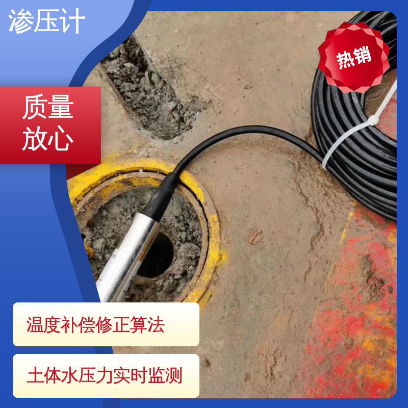 硅压阻式渗压计 堤防水工建筑物 岩体内部渗透水压 自动化实时监测