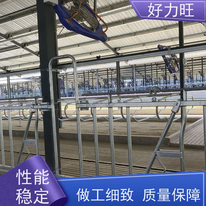 畜牧用牛颈枷 结实耐用牛颈夹子 好力旺多种规格饲喂隔栏