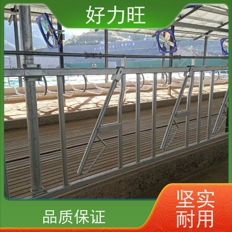 加厚热镀锌牛颈枷养牛专用设备打小牛通用可调节