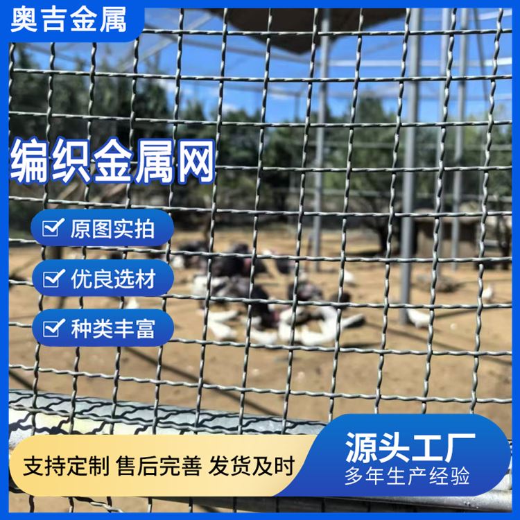 奥吉金属 厂家定做 物美价廉 12号镀锌钢丝网 不锈钢筛网 钢筋编织网片