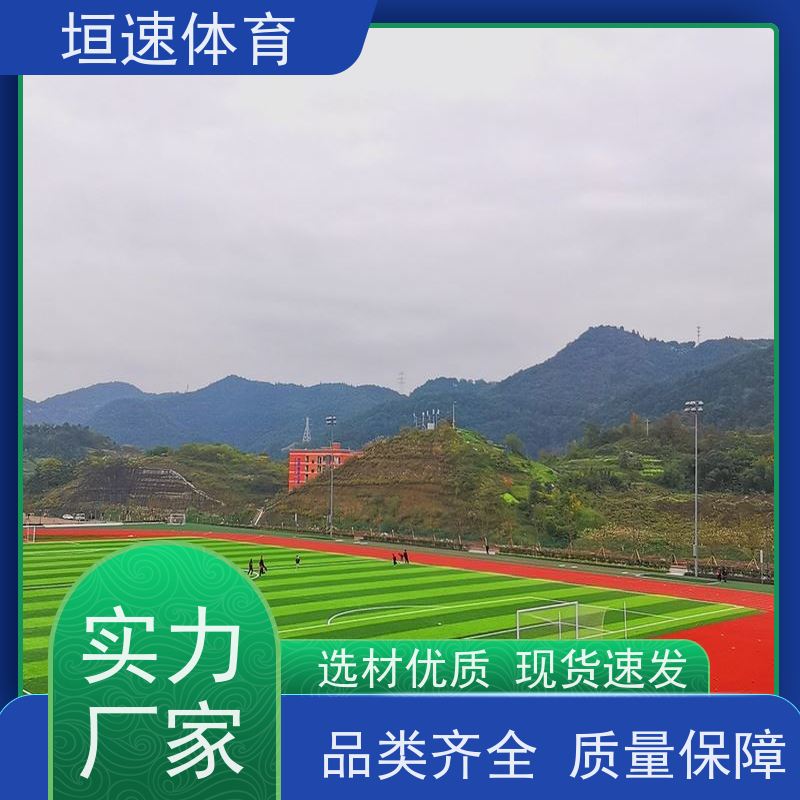 垣速 深色epdm塑胶地面 学校运动场地坪 幼儿园彩虹跑道适应性广