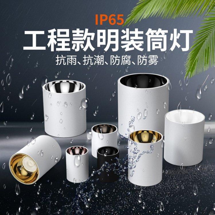 LED防水明装筒灯 户外门头灯 50W酒店COB射灯 高铁站台吸顶灯