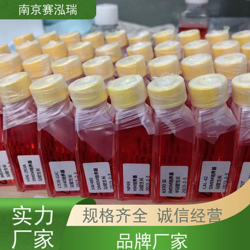 赛泓瑞品牌 SDOW-17细胞株 ATCC鉴定通过 低代数