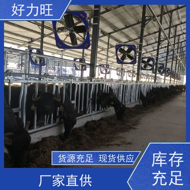牛场专用不锈钢牛颈枷 结实耐用方便灵活畜牧养殖设备