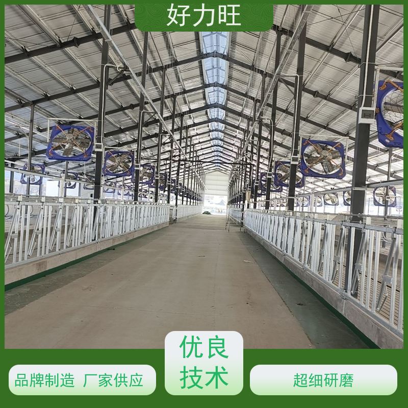 摩菲奶水牛场6米6位7位8位牛颈枷 多种款式 可定制
