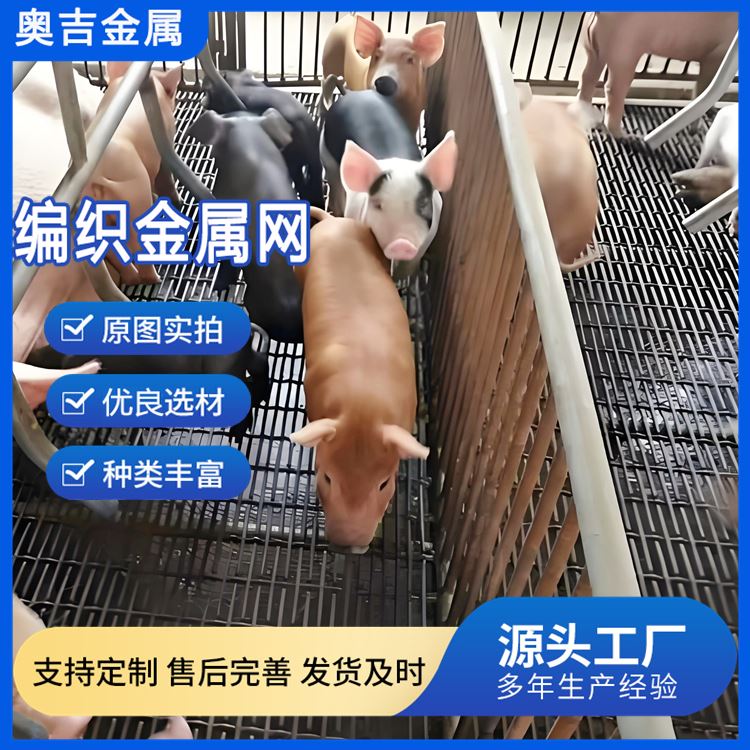 奥吉金属 源头厂家 做工优良 鱼塘钢丝网 8目筛网 黑钢轧花网