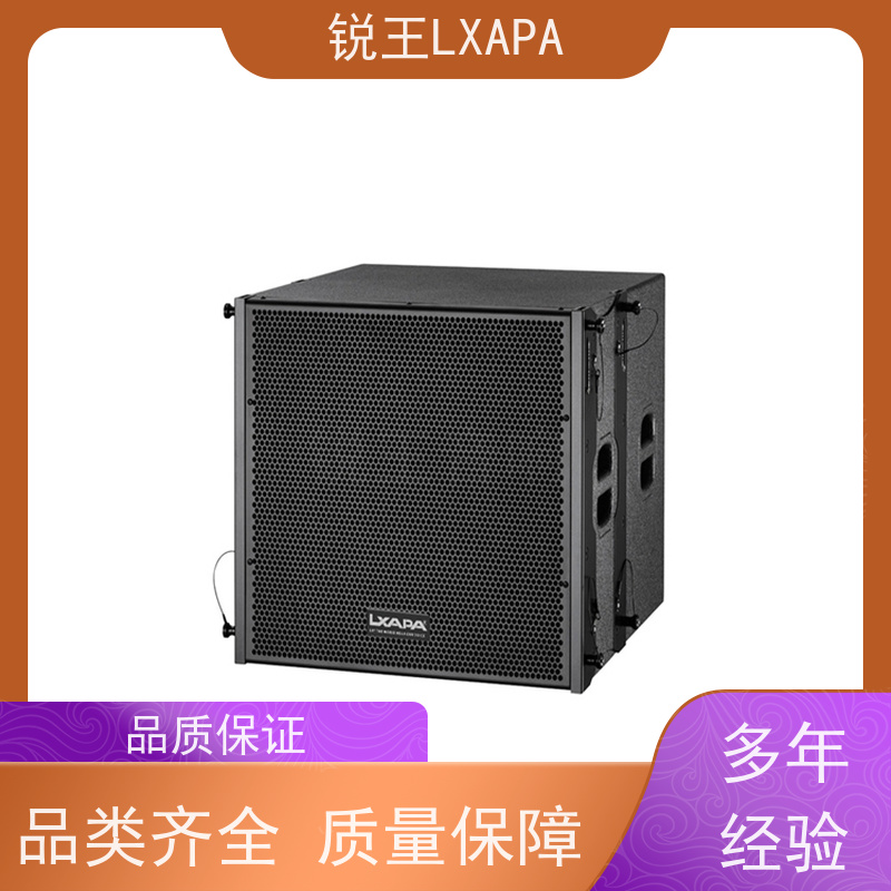 锐王LXAPA 线阵音箱 频响宽人声突出 会议工程音柱 户外音响设备