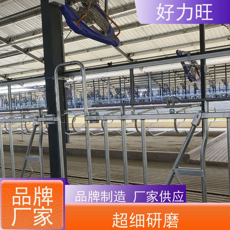 畜牧养殖设备 牛场防疫牛颈夹 加厚热镀锌材质牛颈枷批发 