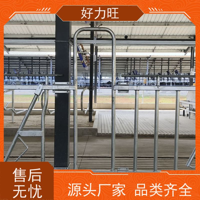 热镀锌牛颈枷自锁式 牧场配套设施 一牛一位 防疫进食 牛羊养殖场用