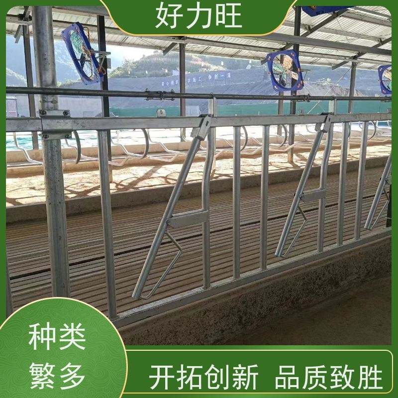 好力旺 牧场配套设施热镀锌牛颈夹 折弯大夹角3米5位牛颈枷