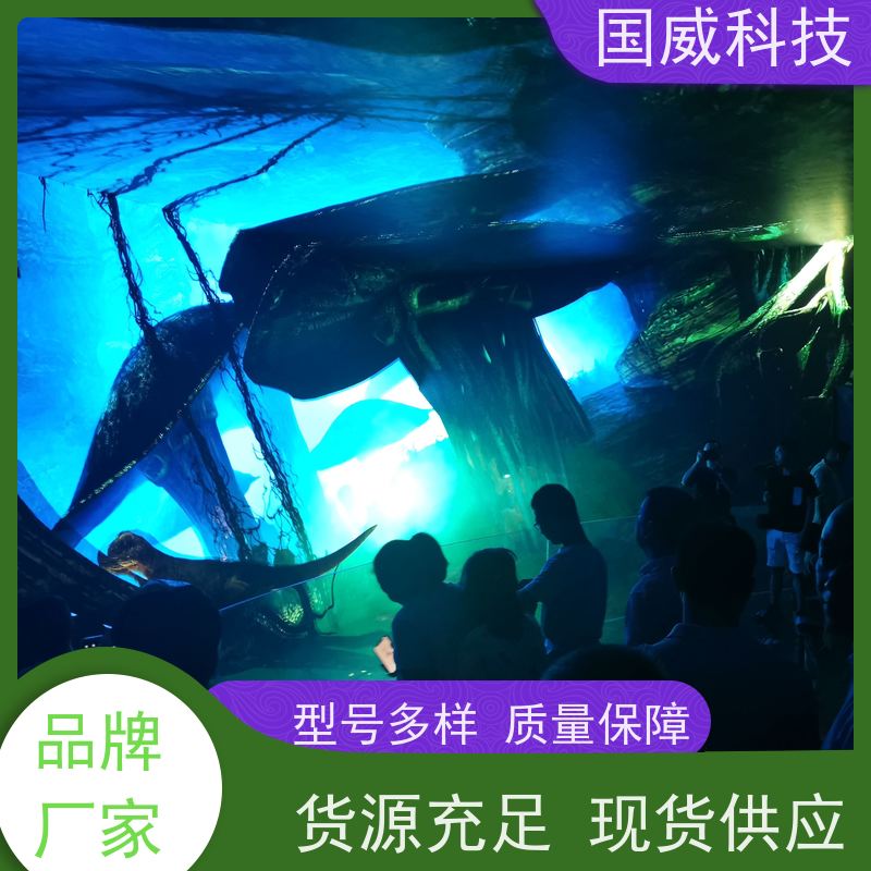 国威科技 亲子数字项目 飞越影院 创新 品牌公司