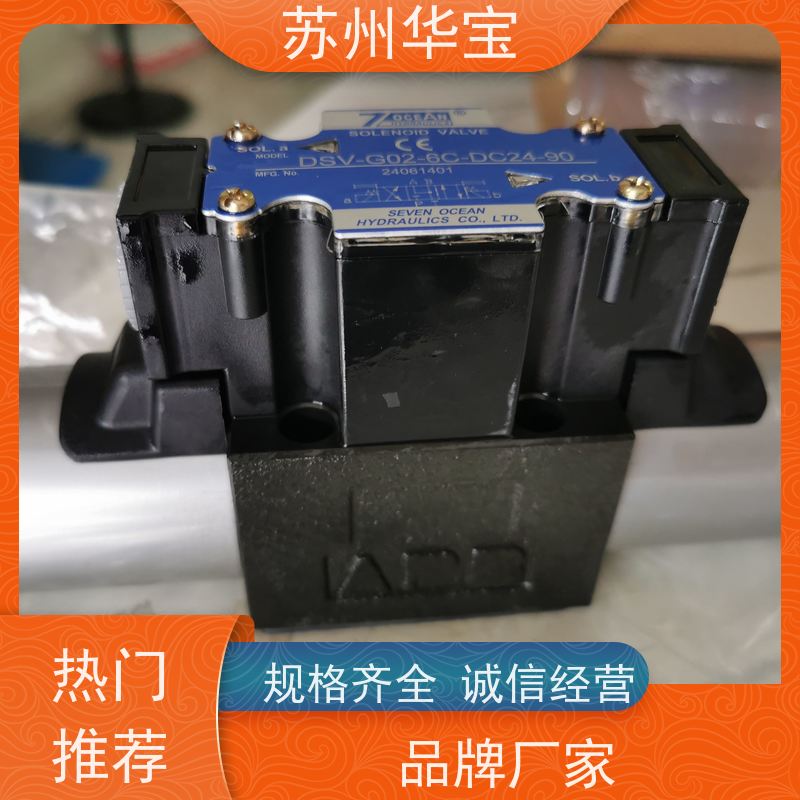 CHEERFUL抗衡阀DSG-02-3C60-110V DSG-01-3C60-D12