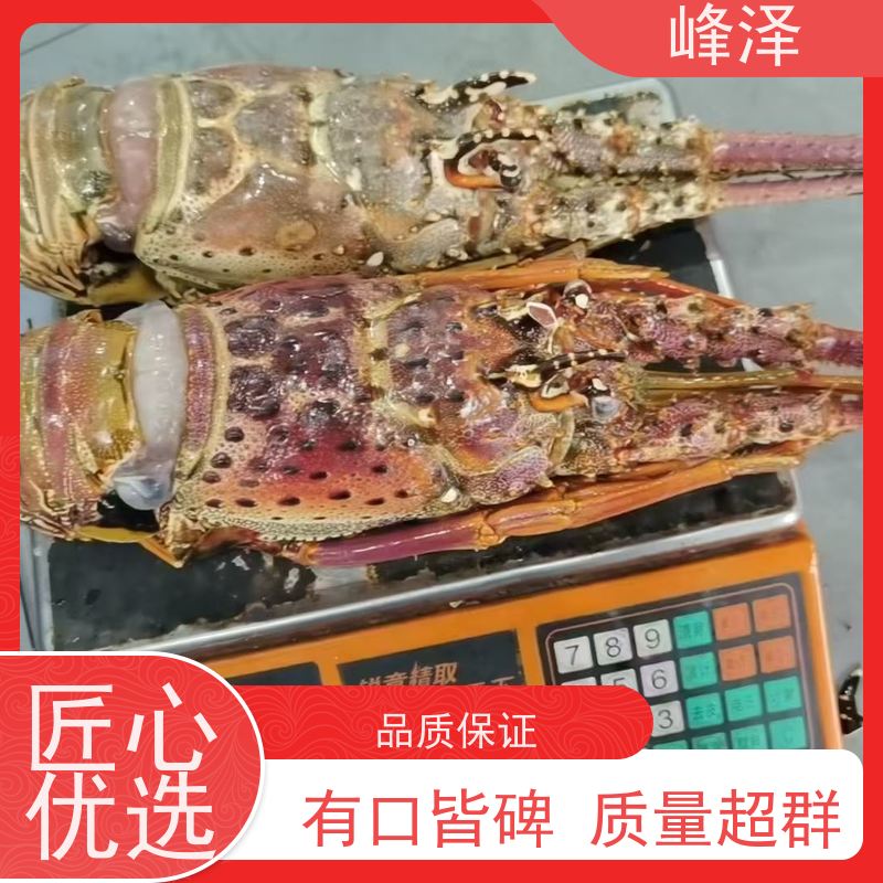 海虾干制品 大龙虾海鲜礼盒 工会活动礼品 源头工厂 手续齐全