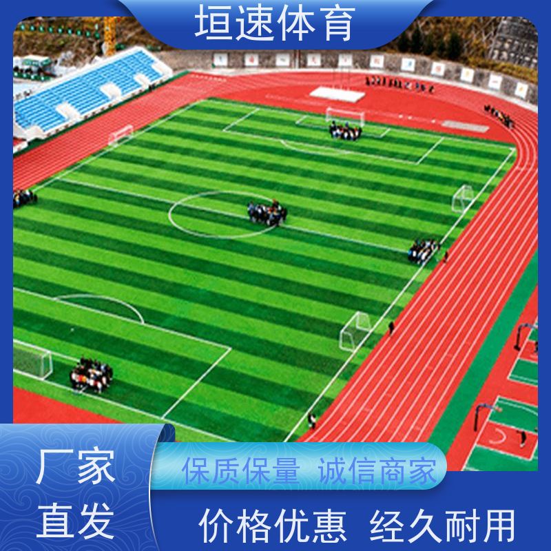 垣速 10mm弹性地坪 小区游乐场地面 操场epdm跑道高稳定性