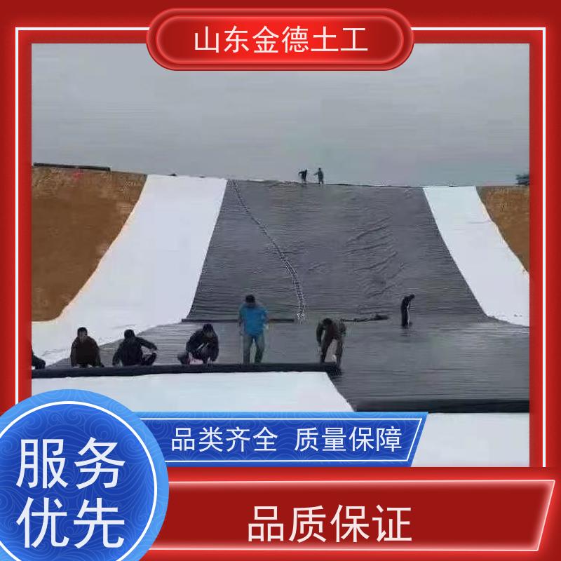 金德土工 溶解池防渗 1.0mm厚建标土工膜 应变力强