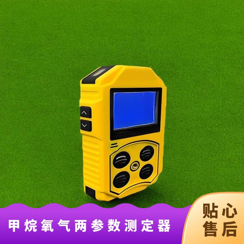 JD4多参数检测报警仪 催化甲烷测定 使用方便 手持式