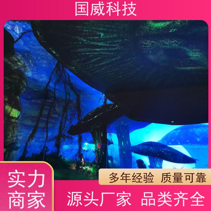 国威科技 飞越主题项目 幻境空间 创意 品牌供应
