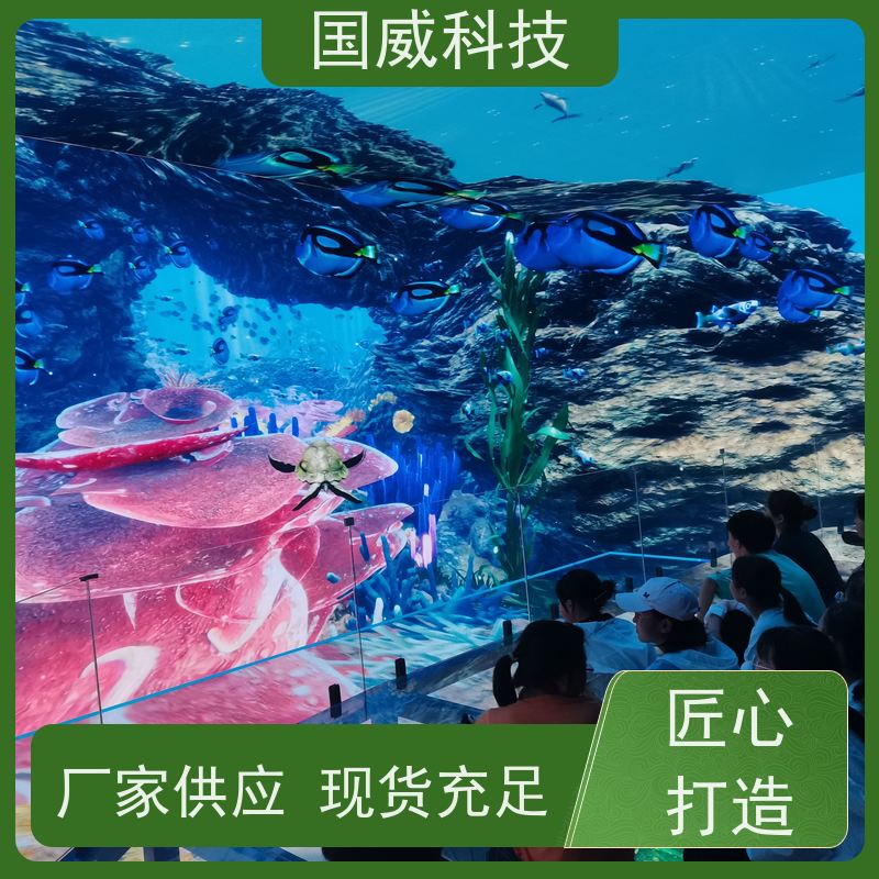 国威科技 景区项目提升 球幕影院 梦幻 生产厂家
