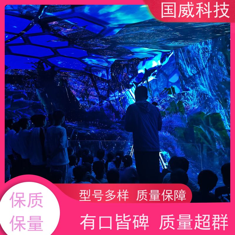 国威科技 景区乐园打造 球幕影院 创新 品牌厂家