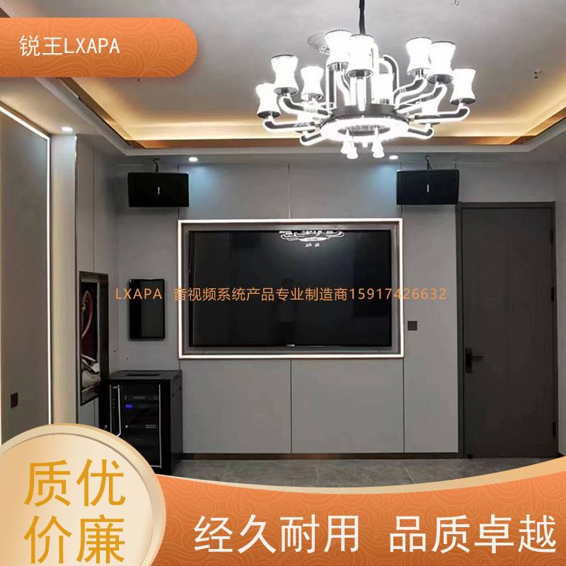 锐王LXAPA 会议功放 音箱喇叭 可调指向声柱 广播音响