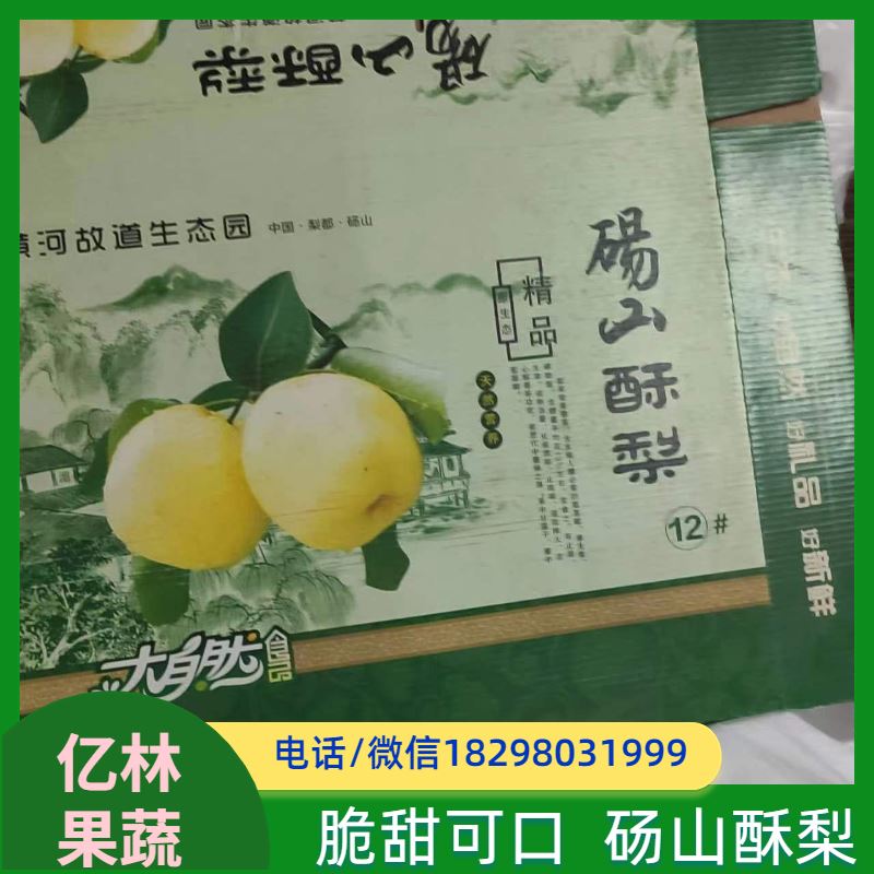 亿林苗木 基地直发 新农酥梨 现挖现发 八盘梨树苗