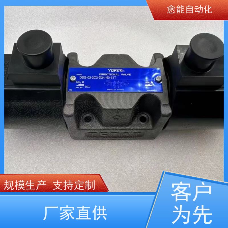 YUTIEN油田 DSG-01-2B3-A110大流量型负载保持阀