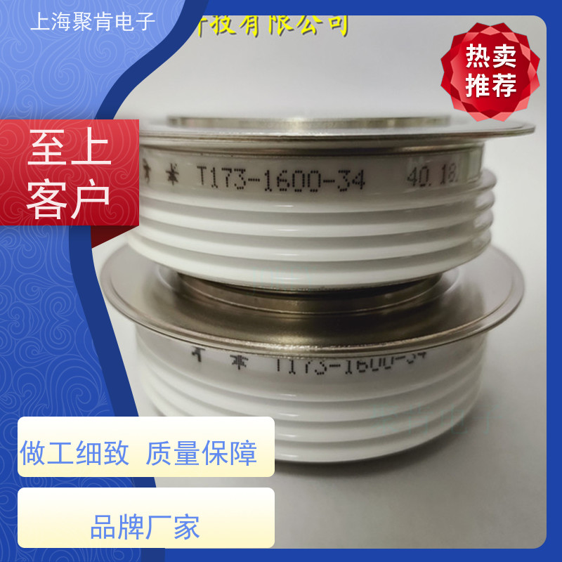 PROTON-ELECTROTEX普拉动 可控硅 T123-160-30 晶闸管 聚肯电子 厂家