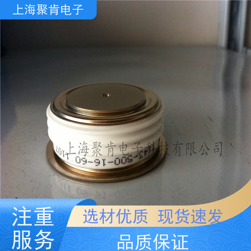 PROTON-ELECTROTEX普拉动 可控硅 T433-250-32 晶闸管 聚肯电子 厂家