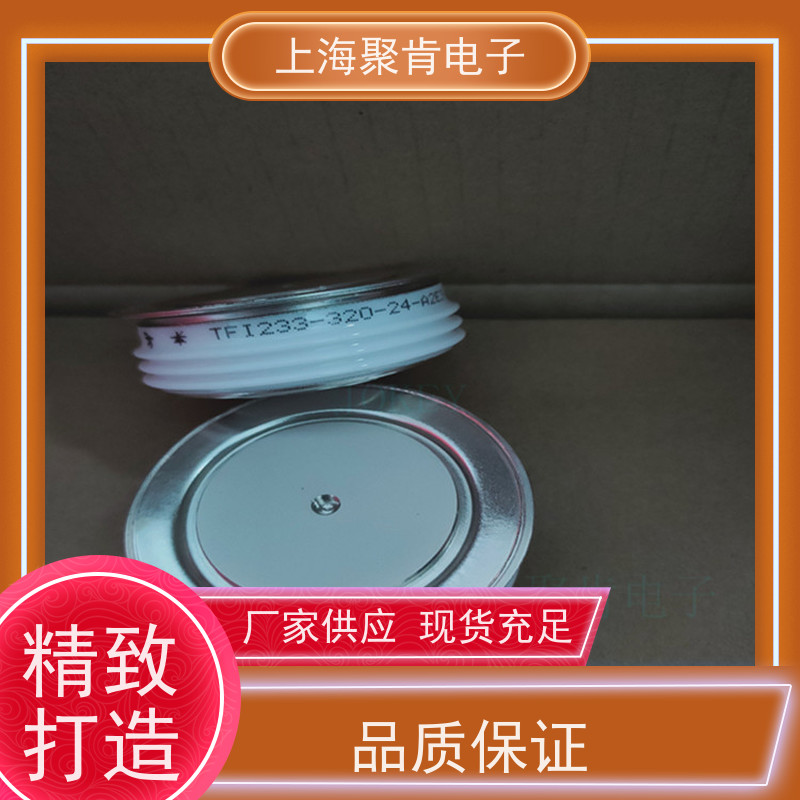 PROTON-ELECTROTEX普拉动 可控硅 T243-500-20 晶闸管 聚肯电子 厂家