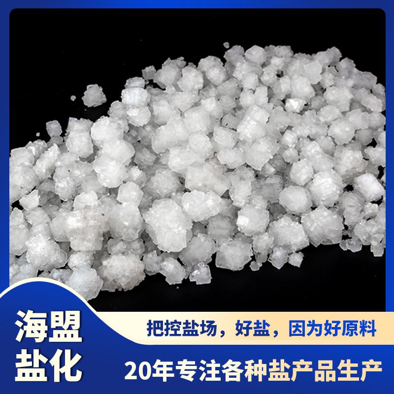 海盟精制 大颗粒 氯化钠含量99.6 水处理添加剂 厂家直供