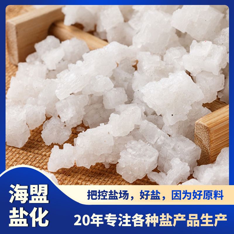 海盟 精制氯化钠 日晒盐 锅炉水处理 大颗粒 种类齐全 厂家直供