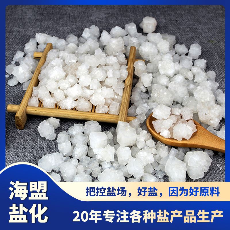 海盟 99%高含量 小白盐 氯化钠日晒盐 透明结晶种类齐全
