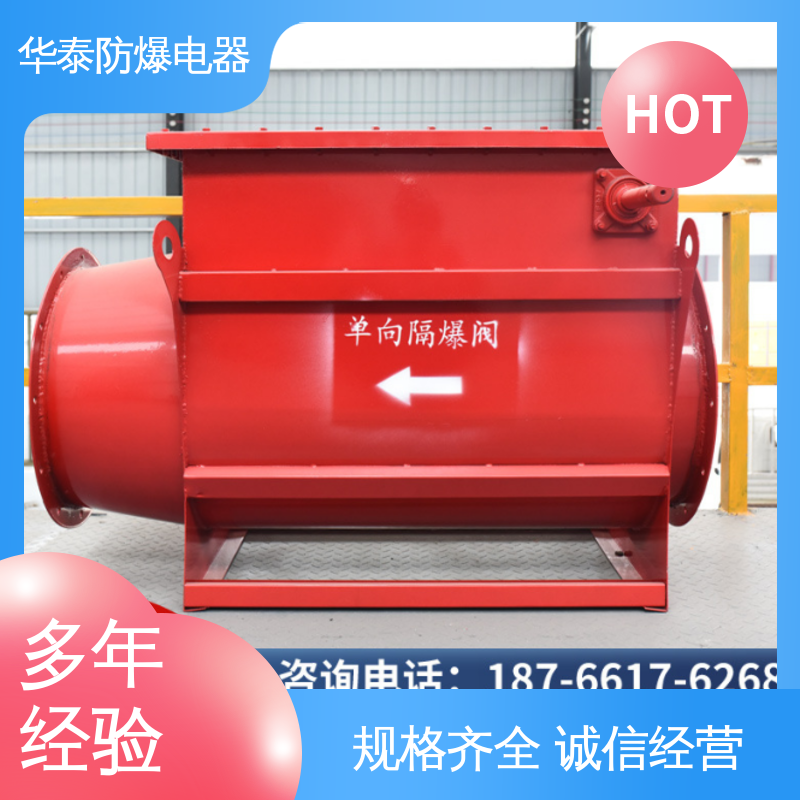 天然气 品种多样 保质保量 阻火器 定制材质 华泰电器