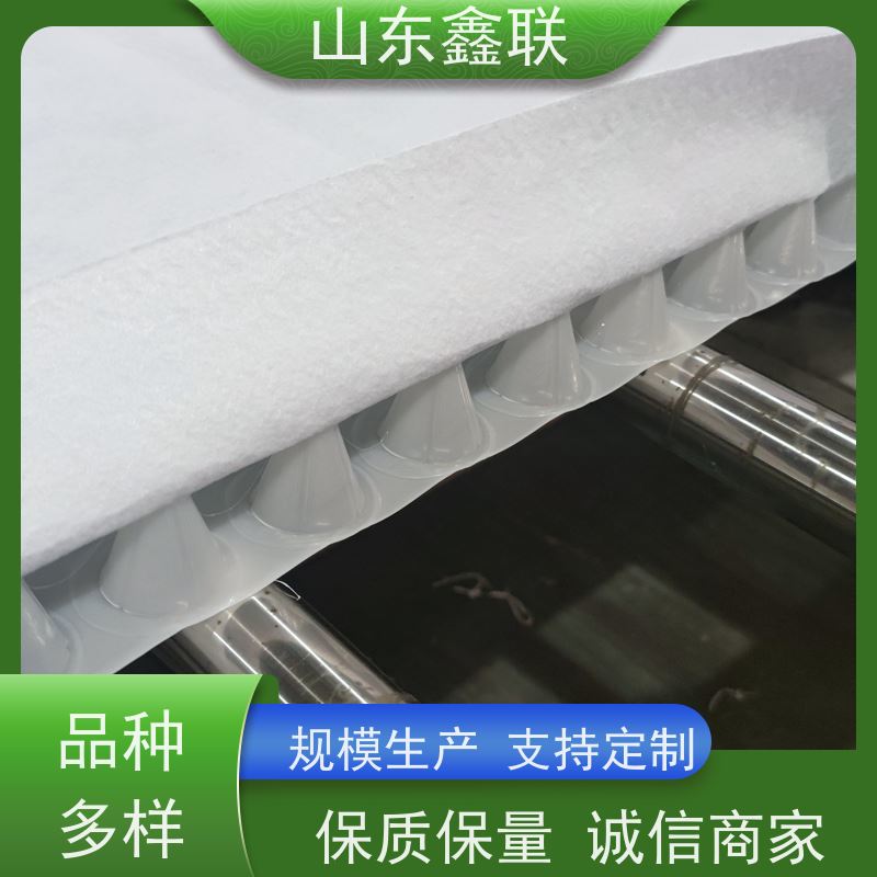 鑫联新材料 防护虹吸排水收集系统 严选自营 20高分子异型片材