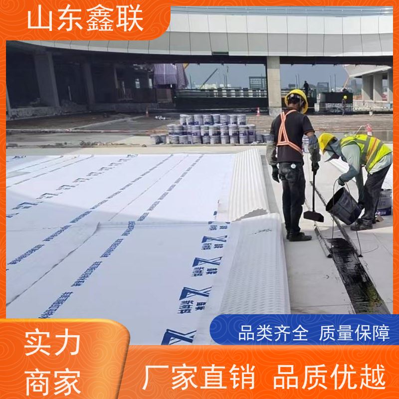 鑫联新材料 有序虹吸排水系统 大厂实力批发 15高板布一体疏水板