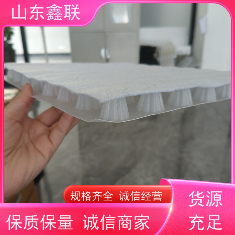 鑫联新材料 虹吸雨水排放系统 车库顶板专用 20高分子异型片材