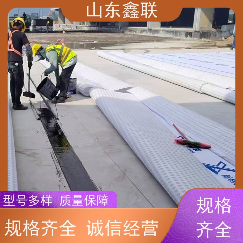 鑫联新材料 防护虹吸排水系统 专注生产供应 20高分子异型片材