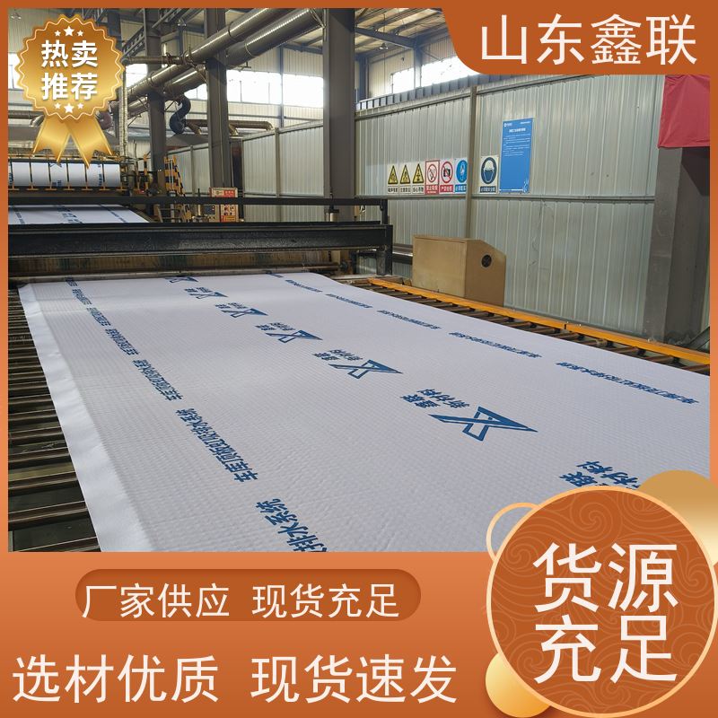 鑫联新材料 车库顶板虹吸排水系统 百亩面积厂商 15高板布一体疏水板