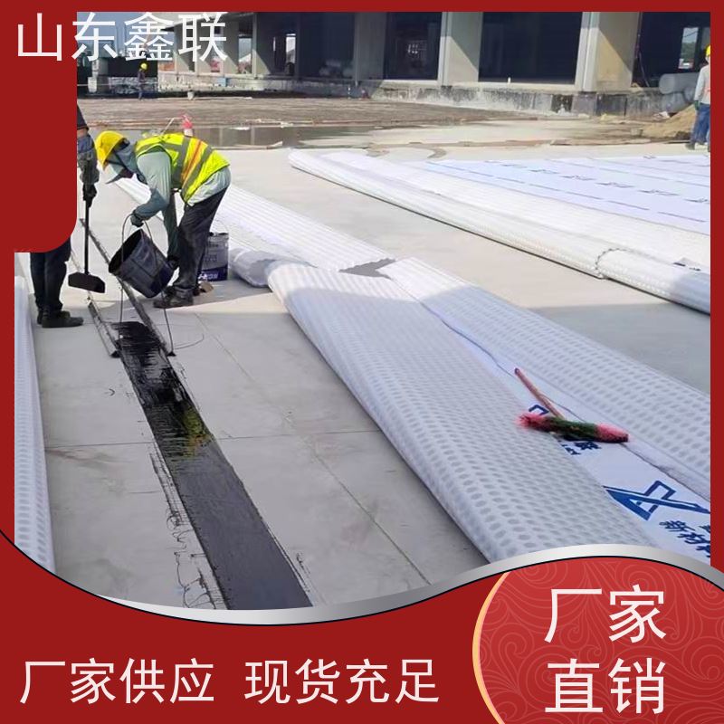 鑫联新材料 车库虹吸系统 大厂实力批发 15高板布一体疏水板