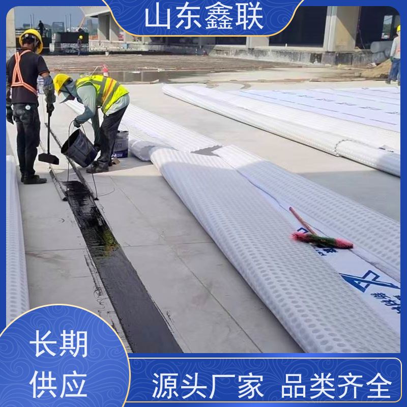 鑫联新材料 车库虹吸系统 中国绿色建材 H30双面排蓄水异形片