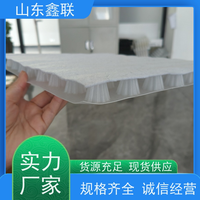 鑫联新材料 车库虹吸系统 设计院认可 H25双面抗压排水异形片