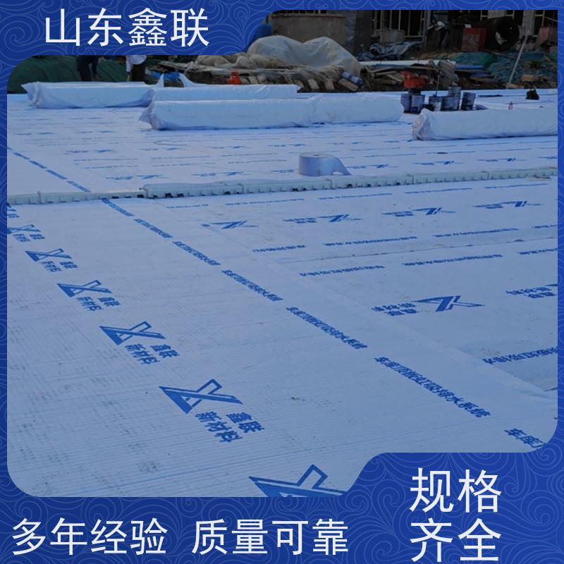 鑫联新材料 车库顶板虹吸排水系统 国检认证品质 20高分子异型片材