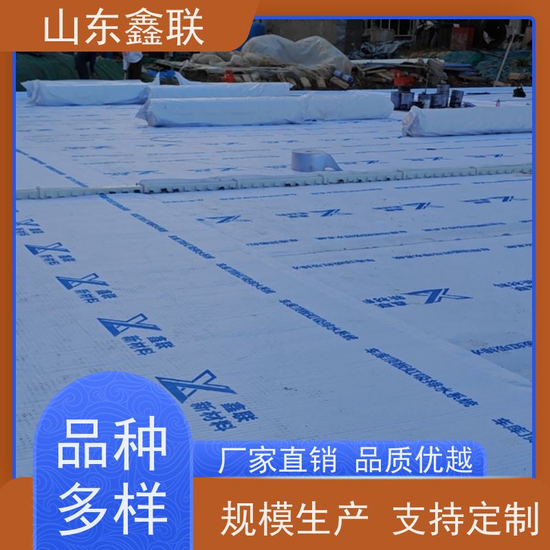 鑫联新材料 车库虹吸系统 10年大厂品牌 H20高分子防排水保护异形片