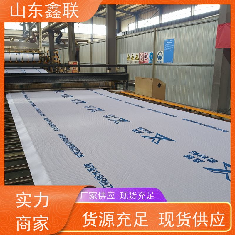 鑫联新材料 车库顶板虹吸排水系统 科研创新 H30双面排蓄水异形片