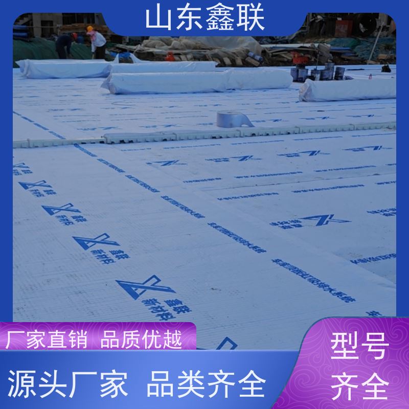 鑫联新材料 车库顶板虹吸排水系统 10年大厂品牌 20高分子异型片材