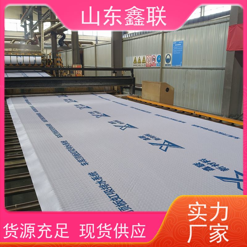 鑫联新材料 车库虹吸系统 屋顶花园绿化 复合高分子防护排水异形片