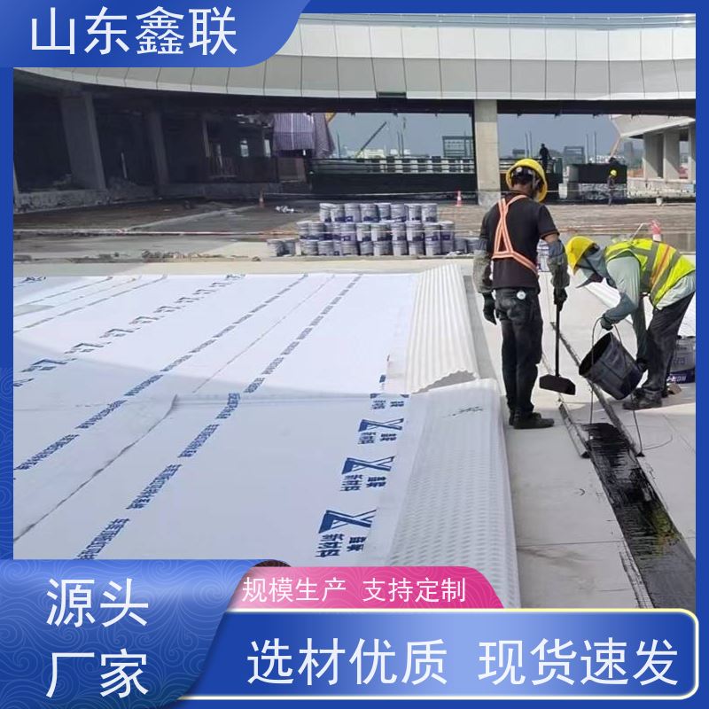 鑫联新材料 车库顶板虹吸排水 专注生产供应 15高板布一体疏水板
