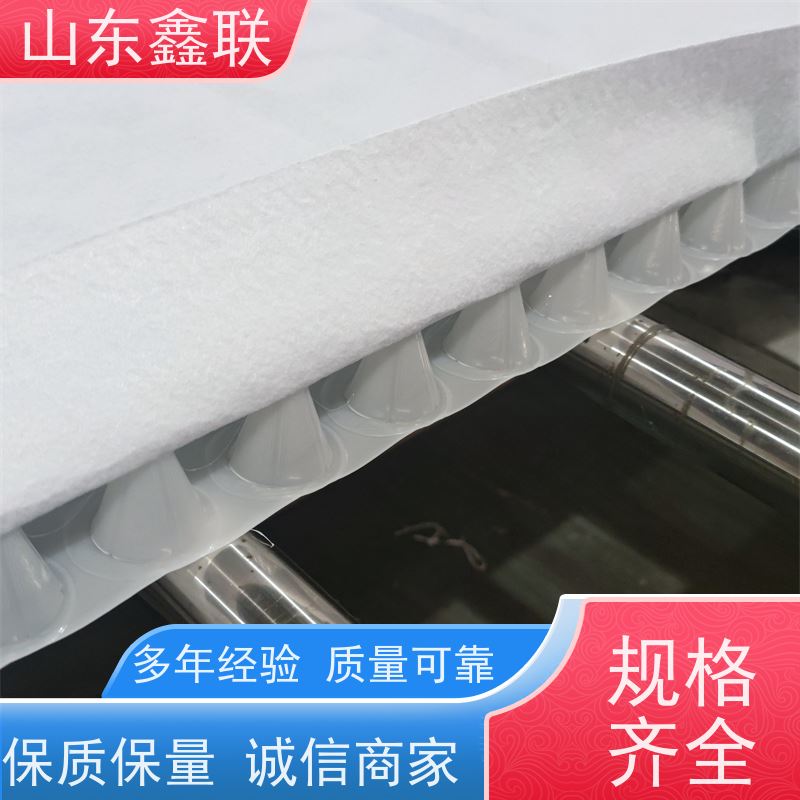 鑫联新材料 防护虹吸排水收集系统 中国绿色建材 15高板布一体疏水板